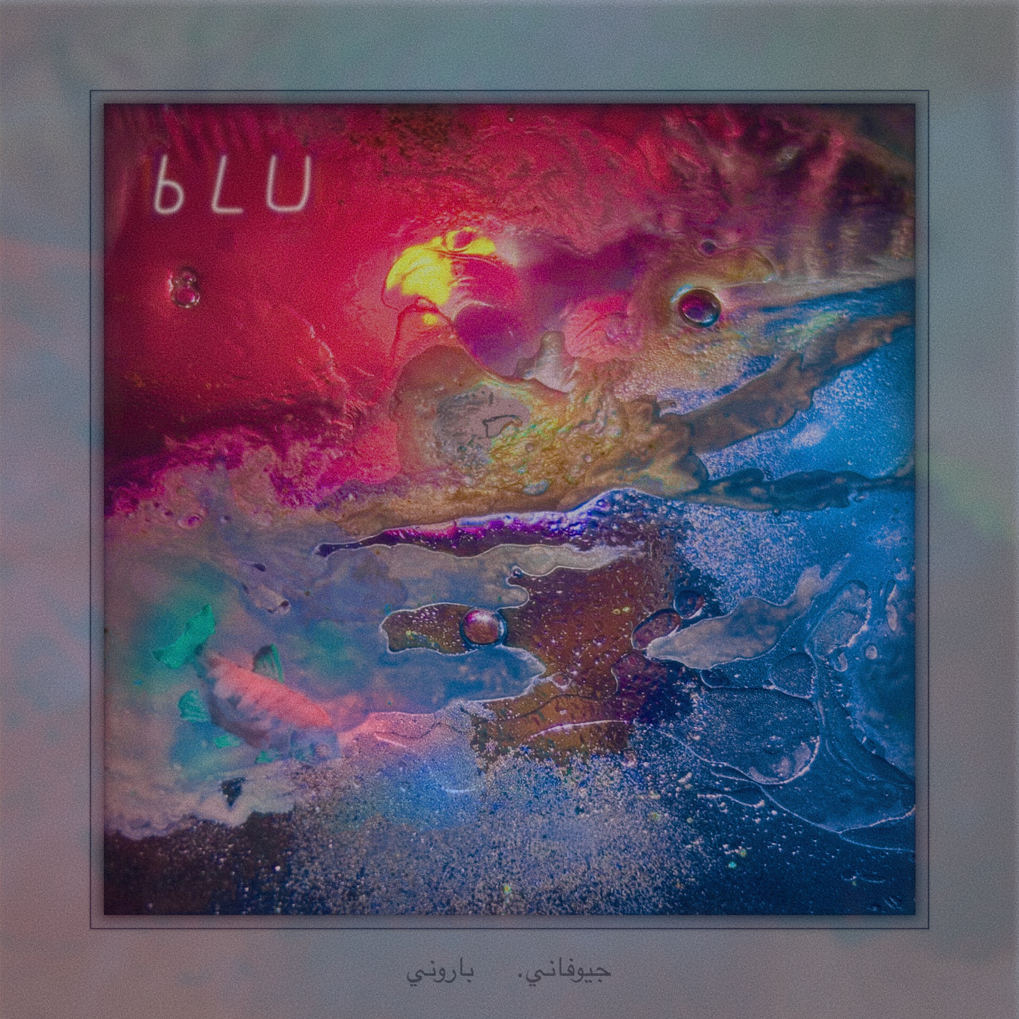 bLU project image